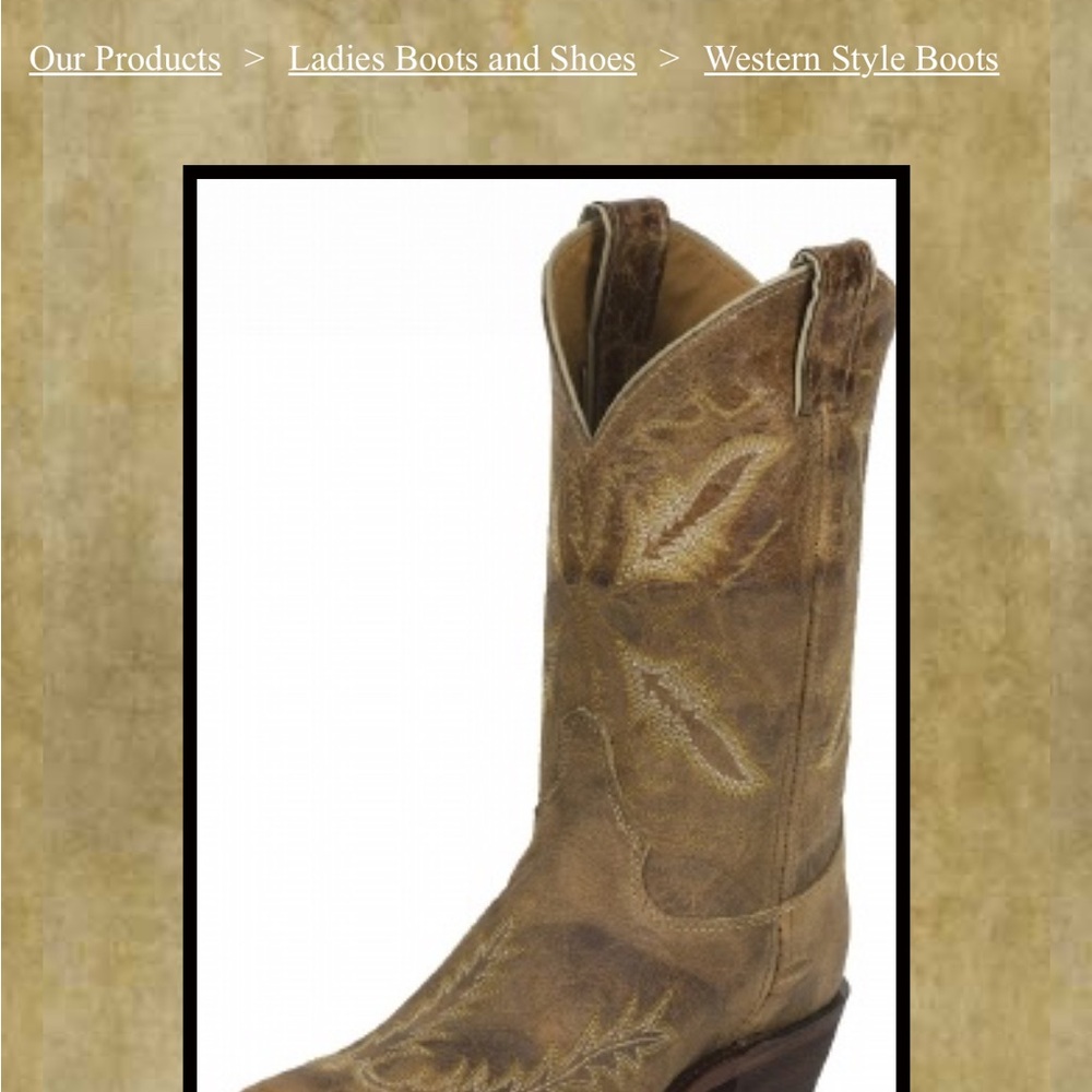 Justin Boots Tan Leather Interior